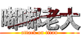 嘟嘟老大 (attack on titan)