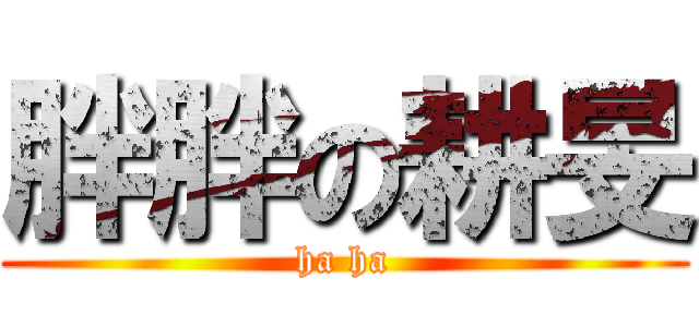 胖胖の耕旻 (ha ha)