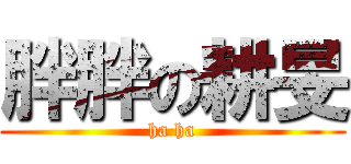 胖胖の耕旻 (ha ha)