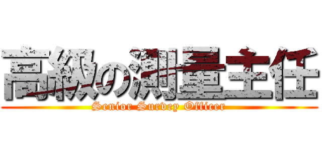 高級の測量主任 (Senior Survey Officer)