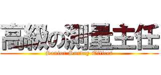 高級の測量主任 (Senior Survey Officer)
