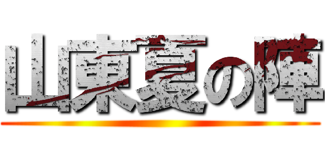 山東夏の陣 ()