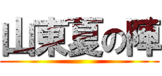 山東夏の陣 ()