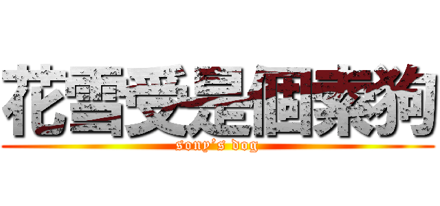 花雪受是個索狗 (sony’s dog)