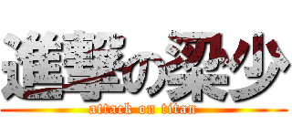 進撃の梁少 (attack on titan)