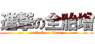 進撃の全胎增 (attack on titan)