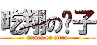 吃翔の疯子 (attack on titan)