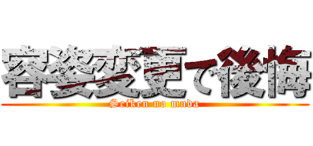 容姿変更で後悔 (Seiken no muda)