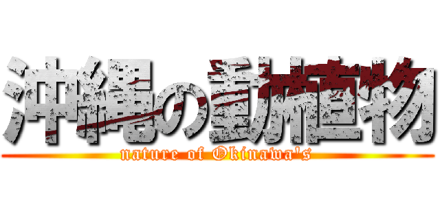 沖縄の動植物 (nature of Okinawa's)