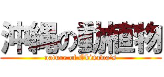 沖縄の動植物 (nature of Okinawa's)