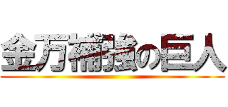 金万補強の巨人 ()