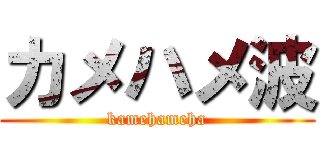 カメハメ波 (kamehameha)