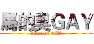 馬的臭ＧＡＹ (attack on GAY)