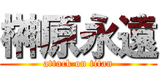 榊原永遠 (attack on titan)