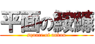 平面の鮟鱇 (square of ankou)
