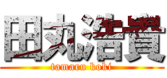 田丸浩貴 (tamaru koki)