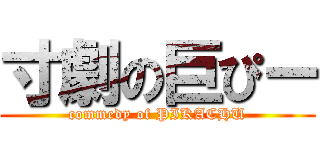 寸劇の巨ぴー (commedy of PIKACHU)