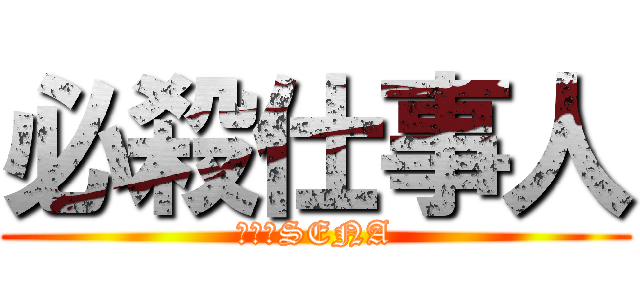必殺仕事人 (チームSENA)