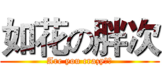 如花の胖次 (Are you crazy??)