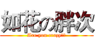 如花の胖次 (Are you crazy??)
