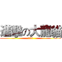 進擊の大龍貓 (706)