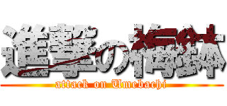 進撃の梅鉢 (attack on Umebachi)