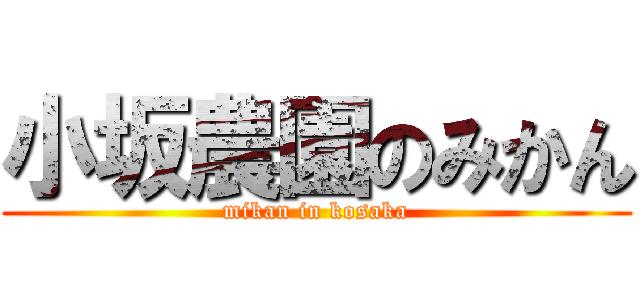 小坂農園のみかん (mikan in kosaka)