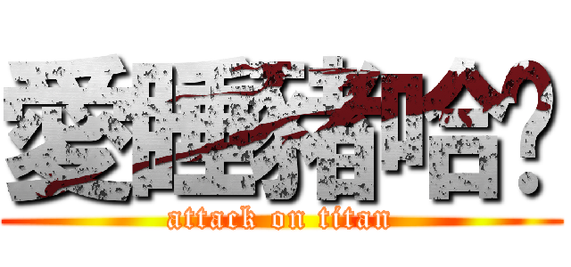 愛睡豬哈囉 (attack on titan)