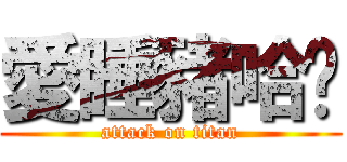 愛睡豬哈囉 (attack on titan)