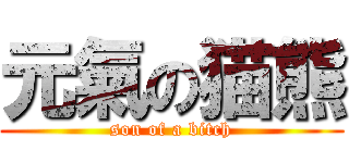 元氣の猫熊 (son of a bitch)