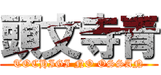 頭文寺青 (TOCHIGI NO OSSAN)