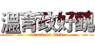 溫育政好醜 (attack on bird)
