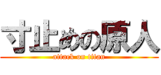 寸止めの原人 (attack on titan)
