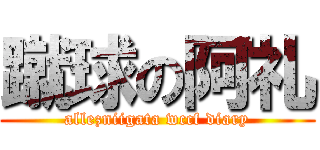 蹴球の阿礼 (allezniigata wccf diary)