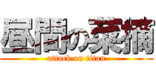 昼間の菜摘 (attack on titan)