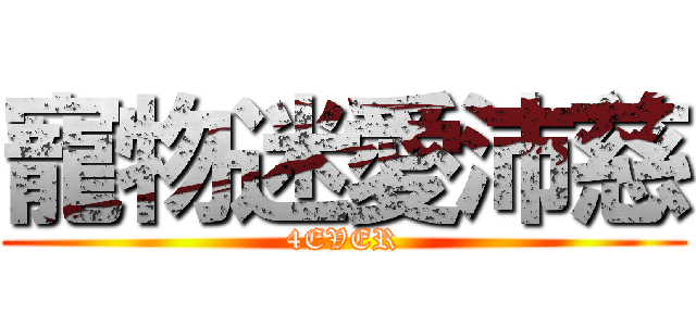 寵物迷愛沛慈 (4EVER)