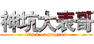 神坑大表哥 (attack on program)