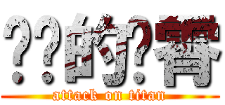 进击的罗霄 (attack on titan)