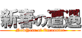 新春の遭遇 (NewYear of Encounter)