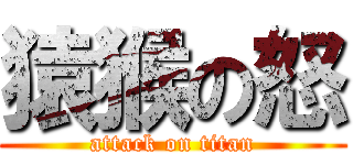 猿猴の怒 (attack on titan)
