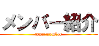 メンバー紹介 (team member)