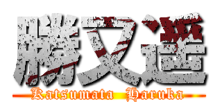 勝又遥 (Katsumata  Haruka)