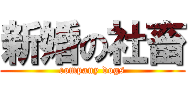 新婚の社畜 (company dogs)