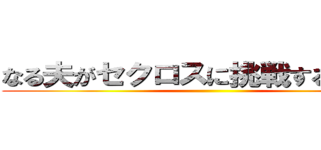 なる夫がセクロスに挑戦するようです ()