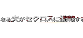 なる夫がセクロスに挑戦するようです ()