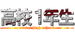 高校１年生 (senior high school)