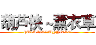 葫芦侠～薰衣草 (HULUXIA～XUNYICAO)