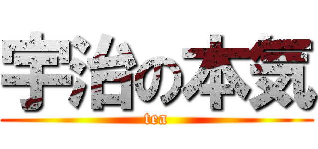 宇治の本気 (tea)