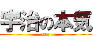 宇治の本気 (tea)