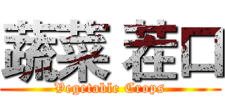 蔬菜 茬口 (Vegetable Crops)